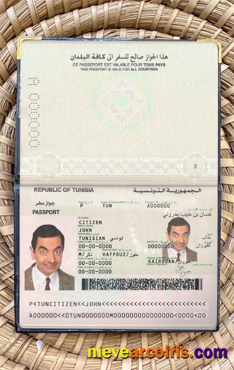 Tunisia passport photolook
